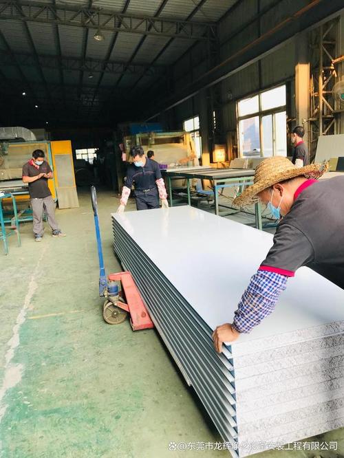 探秘东莞市无尘净化车间厂家:技术解析与行业应用全览
